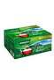 X3 Secret Garden Teapot Tea Bags 100Pcs and Rosie - 2