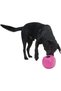 Buster Food Cube Feeder, Lime - 2
