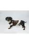 Zippered Fur Leather Dog Outfit Brown Medium - 8