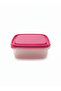 Multi-Purpose Colorful Lid Plastic Rectangular Storage Container