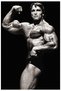 ALAYRA Arnold Schwarzenegger Canvas Poster for Living Room Bedroom Outdoor Party Gift Ind45X30 CM