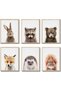 ALAYRA Baby Animal Posters and Prints, Canvas Painting Nursery Pig Wall Art, Piglet Print Wall Art Nordic Picture Kids Room Decoration (YMX015,8"x10"())20X25 CM