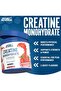Creatine Monohydrate Micronized, Strawberry And Raspberry, 250 Gm+ SHAKER - 2