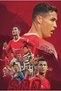 Alayra Soccer Star Poster Wall Art, Motivational Football Star Canvas Wall Art, Football Career 800
