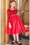 Girl's Boat Neck Sheer Tulle and Velvet Sequin Detail on the Bust Fluffy Balloon Sleeve Red Evening Dress - 3