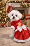 Cookie House Small Breed Dog Plush Christmas Dress