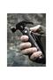 Multi Hammer 12-in-1 – Stainless Steel, Compact, Durable Tool - 6