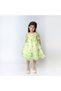 Apple-colored embroidered dress