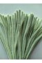 25 Pieces of Island Tea Green Chenille, Fuzzy Wire Suitable for Flower Making, 30 cm 6 mm - 3