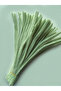25 Pieces of Island Tea Green Chenille, Fuzzy Wire Suitable for Flower Making, 30 cm 6 mm - 4