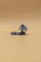 Star Eye Raccoon Keychain - Movable Keychain Bag Ornament Charm - 2