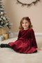 My Little One's Velvet Tulle Detailed Girl's Dress - Red - 2
