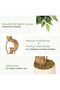 120-180cm Artificial Tree with Lifelike Leaves for Indoor/Outdoor Home & Office Decor - Perfect Gift - 5
