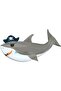 Pirate Shark Themed 7Th Birthday Balloon Set & Happy Birthday Banner & Curtain Set - 7