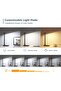 LED Desk Lamp with USB Charging Port - 2