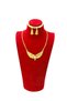 Stylish Gold Color Wheat Flower Ethnic Necklace and Earring Set
