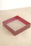 Elva Tragus Piercing Jewelry Earring Stand - 2