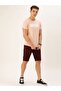 The Indian Garage Co Slim Fit Burgundy Solid Shorts - 4