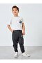 Toddler boys jogger with graphic print - 2
