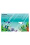555 Sticker Fun - Sharks - 4