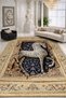 Sdt Traditional Peeling Effect Patterned Woven Base Modern Decorative Carpet Sdt216 - 3