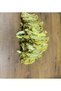 Natural Dried Banana Dried Fruit 200g - 3