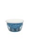 Multifunctional container with lid 16 enameled