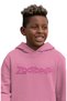 Hopps Ve Wilde Sırt Printed Hooded Children's Sweatshirt, Unisex Zootapia Written Hoodie - 2