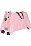 Kids Ride-on Suitcase Hand Luggage with Seat