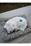 Cat with a Voice That Sleeps Less