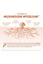 Cordyceps Extract - Immune & Energy Support Supplement - 4