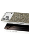 Sptrns Apple iPhone 17 Pro Bright Silvery Cover - (211651) Desert Titanium - 2