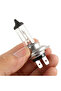 10PCS Halogen Headlight Bulb Super Warm White Light H7 55W 12V Bulb Headlight Halogen Lamp Car H... - 4