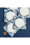 Spinoza 6 Piece 24X24 cm Bone Cake Set - 845 - 3