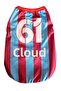 🐱 🐈   Cat and Dog Trabzon Colours Fan Jersey with Name and Numbers Printable - 3