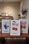 A5 Spiral 3-Pack Unlined Notebook Set - 14.8 X 21 cm 40 Sheets Notebook Fruit Series - 2