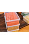 Plastic Storage 20 Pieces Container Pulses Food Toy, Freezer Coffee with Lock 2 Liters (23X14X8 CM) - 5