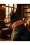 Fancy Dog Guard Collar - 3