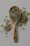 Nervil Grass (Vein Grass – Plantago Major) Dried Herbal Tea 100 g – Natural - 3