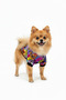 Cat-Dog Teddy Bear Patterned Sweatshirt Outfit - Small Breed