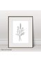ALAYRA Wall Art Prints & Pictures for Living Room, Bedroom, Kitchen, Bathroom, Hallway and Stairs, Abstract Wall Art, Minimalistic Room Decor, Botanical Prints, Plant Poster, Set20X25 CM - 2