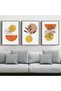 ALAYRA Modern Bohemian Abstract Poster Wall Decoration, Beautiful Botanical Pictures Poster Wall Art, Minimalist Wall Poster Set - Frameless (Wall Picture-07. x 3 Pieces)30X40 CM - 2