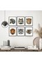 ALAYRA Wild Animal Wall Art Prints Poster Animal Wall Decor Set of 6 Wildlife Animal Wall Pictures for Living Room Home Office Decor 8"x10" UNFRAMED - Deer, Wolf, Snow Leopard,20X25 CM - 5