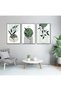 ALAYRA Modern Aesthetic Plant Pictures, Boho Decorative Pictures, Natural Landscape Poster, Abstract Art Deco Poster Set - No Frame (3 Pieces, , Poster-06)40X60 CM - 2