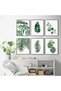 ALAYRA Green Botanical Wall Art Print Set of 6 Natural Plant Leaves Home Decor Aesthetic Bathroom Wall Art Canvas Posters Leaf Prints Poster Set (8"x10" UNFRAMED, Leaf Wall Art)20X25 CM - 5