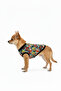 Cat-Dog Outfit Baseball Pattern - Small Breed - 2