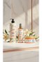 Vanilla Crunch Vanilla Body Scrub – Sweet Vanilla & Soft Skin Effect 300 Gr - 3