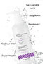 Anti-Orange Purple Shampoo (Silver Shampoo) 500 ml - 2