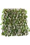 Bamboo Fence With Industrial Vegetables Green - 4