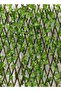 Bamboo Fence With Industrial Vegetables Green - 2